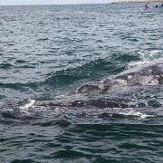 IMG 0001 2 (22)